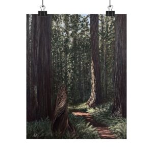 Dappled Redwoods | Print Poster
